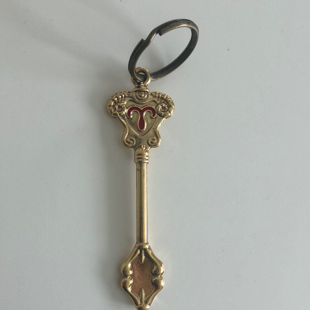 ♈️ ARIES KEYCHAIN - Picture 2 of 2